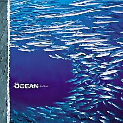 The Ocean: "fluXion" – 2004